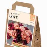Bouquet Collection Copper&Black - Tulpen-Mischung