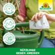 Nützlinge gegen Ameisen: Bild 7/8