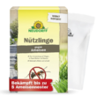 Nützlinge gegen Ameisen: Bild 1/8