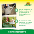 Nützlinge gegen Ameisen: Bild 5/8