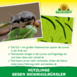 Nützlinge gegen Dickmaulrüssler und Gartenlaubkäfer: Bild 6/11