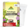 Nützlinge gegen Dickmaulrüssler und Gartenlaubkäfer: Bild 2/11