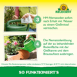 Nützlinge gegen Dickmaulrüssler und Gartenlaubkäfer: Bild 8/11