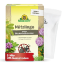Nützlinge gegen Dickmaulrüssler und Gartenlaubkäfer - Nematoden gegen Dickmaulrüssler