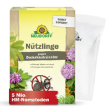 Nützlinge gegen Dickmaulrüssler und Gartenlaubkäfer - Nematoden gegen Dickmaulrüssler