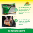 Nützlinge gegen Dickmaulrüssler und Gartenlaubkäfer: Bild 7/11