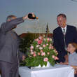 Rose 'Blumenstadt Tulln': Bild 4/22