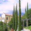 Cupressus sempervirens 'Stricta': Bild 2/3