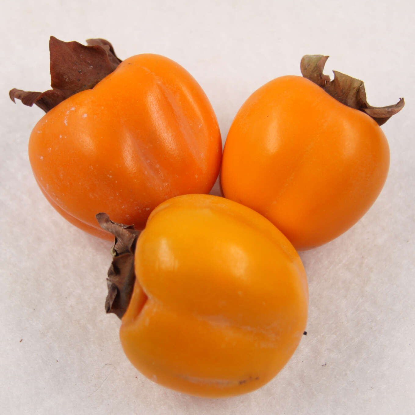 Kaki, Kakipflaume - Diospyros kaki - gelb
