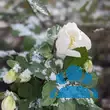 Helleborus niger - von 1658736185_1348: Bild 6/6