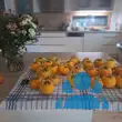Diospyros kaki - von anne-marie_1029: Bild 7/7