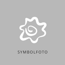 Virginischer Ehrenpreis - Veronicastrum virginicum 'Erika'