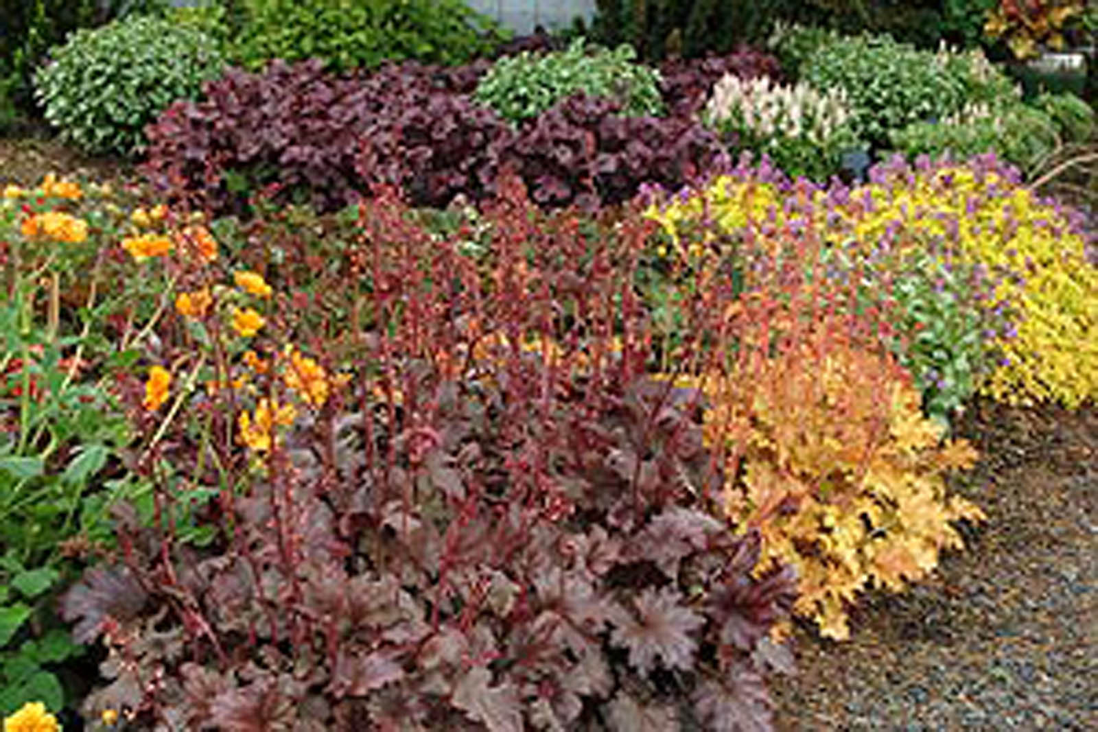 garden_04_07_2001_3