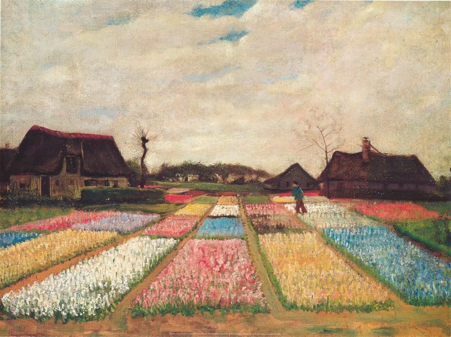 tulpenfeld van gogh blumenzwiebel