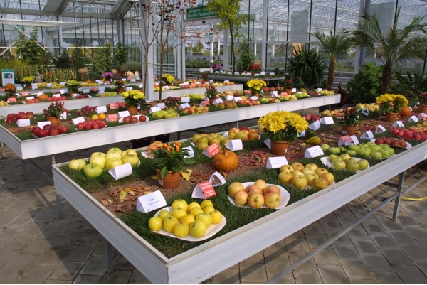 Obstsortenausstellung