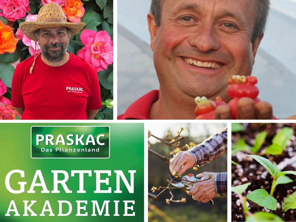 Design ohne Titel - 1